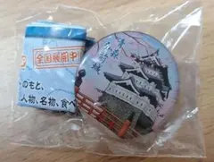 Item thumbnail for item 71db2e73-098d-4e7a-8277-f36e8f3df86e