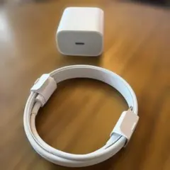 apple 純正 充電器 usb-c