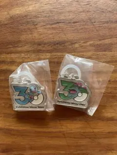 ポケモン 30周年記念メタルチャーム 2個セット