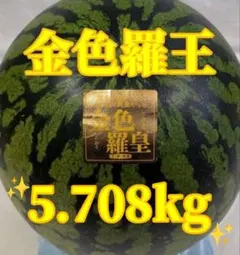 フ*ん様 高知産 約16kg 大玉すいか 加領郷特産品 品種 羅皇 - メルカリ