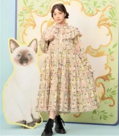 青木美沙子 ロングワンピース