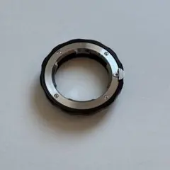 Item thumbnail for item c6895cf8-efa5-42d8-ae4b-f741ea55bab2