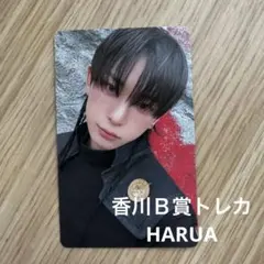 &TEAM HARUA ハルア香川B賞 フォトカードトレカ - メルカリ