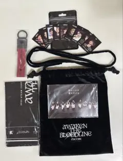 &TEAM AWAKEN THE BLOODLINE ENCORE アプグレ特典
