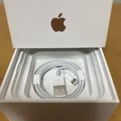 純正品 iPhone Apple ライトニングケーブル 充電