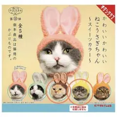 ねこのかぶりもの　ねこうさぎちゃん〜スイーツカラ〜　ショコラ　レモン