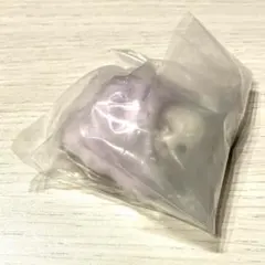 ぽかぽかわんこ　マスコット　トイプードル（ホワイト）