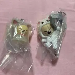 SKZOO つまんでつなげてマスコットVol.2 めじるしアクセサリー
