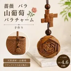 2026年最新】山葡萄ペンダントの人気アイテム - メルカリ