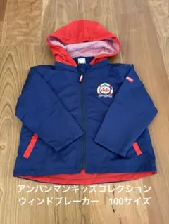 最終値下げ‼️ アンパンマンキッズコレクション　アウター　100サイズ　だだんだん