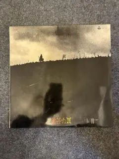 Bonobo - Drift / Memory Signal 400枚限定 新品 - メルカリ