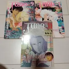 JUNE 風と木の詩 竹宮恵子 No.36 37 38 1987年 1988年 JUNE 風と木の詩 竹宮恵子 No.36 37 38 1987年 1988年 - メルカリ