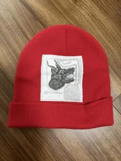 supreme the north face beanie ステッカー付