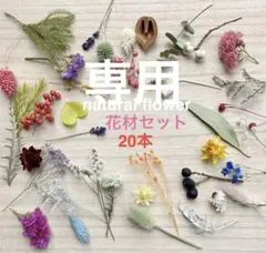 ドライフラワー　カラフル　花材セット　40本〜素材　小花