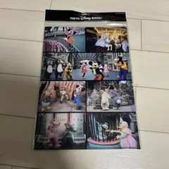 東京ディズニーリゾート A4クリアファイル