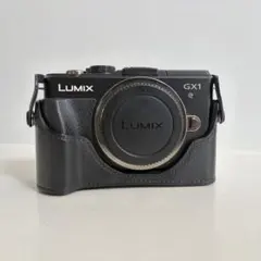 2026年最新】LUMIX Gx1の人気アイテム - メルカリ