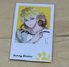 ぴざ様 リクエスト 2点 まとめ商品