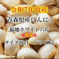 青森県産 令和8年 生にんにく 福地ホワイト六片 M 2kg - メルカリ