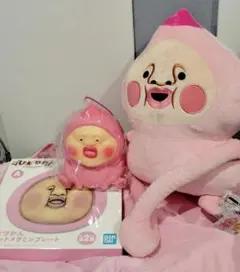 こびとづかん カクレモモジリ ライト プレート エアぐるみ ぬいぐるみ