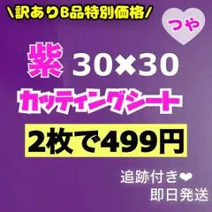 Item thumbnail for item fb3833ce-10de-4b93-86ad-83011c9f6da6