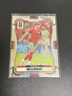 RC Panini Prizm Neil El Aynaoui /61