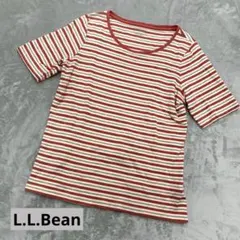 L.L.Bean 半袖Tシャツ ボーダー柄 S REG サイズFのサムネイル