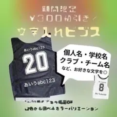 【名入れ】ビブス オーダーメイド 12枚 １箇所プリント (枚数変更可能)