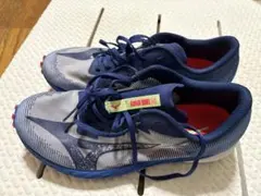 Mizuno Wave Duel スパイクシューズ26.0