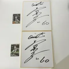 【直筆サイン】若林晃弘選手 豪華4点セット（巨人時代 色紙＆サイン入りカード）