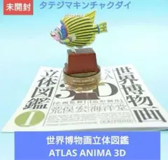 【海洋堂】世界博物画立体図鑑ATLAS ANIMA 3D タテジマキンチャクダイのサムネイル