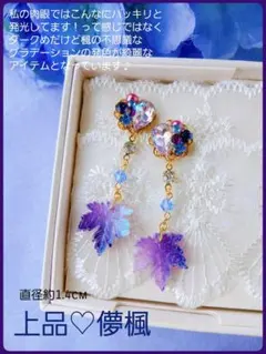 こちらラスト★送料込【B級品】秋冬 綺麗な儚楓 シリーズ♡魅惑カラーでおすすめ