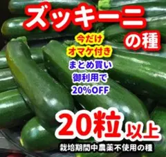 ムーミンママ様 リクエスト 2点 まとめ商品