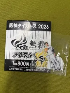 阪神タイガース 大竹耕太郎 アクリルキーホルダー - メルカリ
