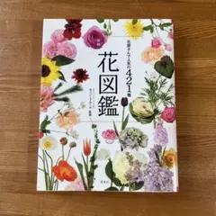 花図鑑 421種　花屋さんで人気の421種