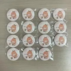 大幅値下げ！早い者勝ち!!!!からぴち えとさん 缶バッジ