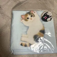 子猫がへそ天でごろ〜んタオルハンカチの会 猫部 フェリシモのサムネイル
