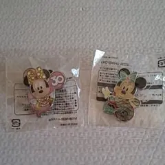 ディズニー記念ピンバッジセット