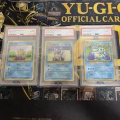 ポケモンカード ARS10 鑑定書付き カメックス フシギバナ プロモ 25th