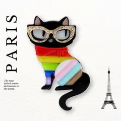 Paris broach アクリル ブローチ ピン レインボー キャット ねこ