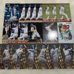 北海道日本ハムファイターズ/プロ野球チップス BBMカード