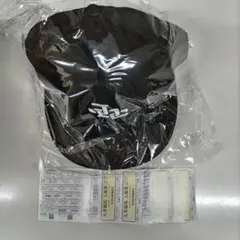 大井競馬　2025ジャパンダートクラシックキャップ（非売品）　入場券4枚