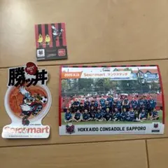北海道コンサドーレ札幌　ブロマイド