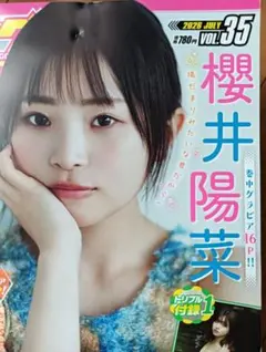 櫻井陽菜 ブロマイド クリアファイル グラビア ヤングドラゴンエイジ