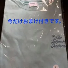 未開封　辻野かなみ　ロングスリーブTシャツ　　Lサイズ　おまけ付き