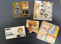 日向翔陽 ハイキュー ファンパーク アクリルフィギュアコレクション 名刺カード