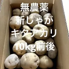 熊本県産 メークイン 10kg 無農薬栽培　新じゃが 熊本県産 メークイン 10kg 無農薬栽培 新じゃが - メルカリ