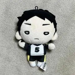 2025年最新】赤葦 にとたん ぬいぐるみの人気アイテム - メルカリ