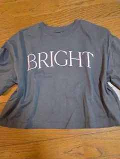 BRIGHT ロゴTシャツ グレー クロップド　ショート丈　y2kのサムネイル