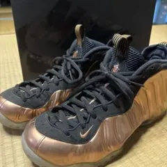 Nike Foamposite One ブラック/ブロンズ