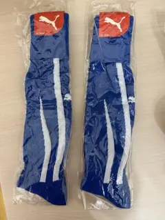 プーマ　サッカーソックス　パワーキャット1.10 25-27cm